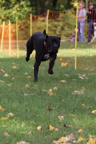 Herbstfest 2019